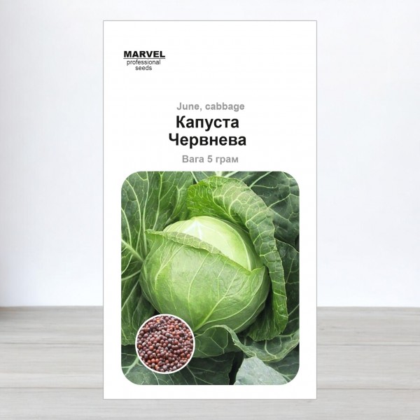 Насіння капусти Червнева (Польща), 5 г